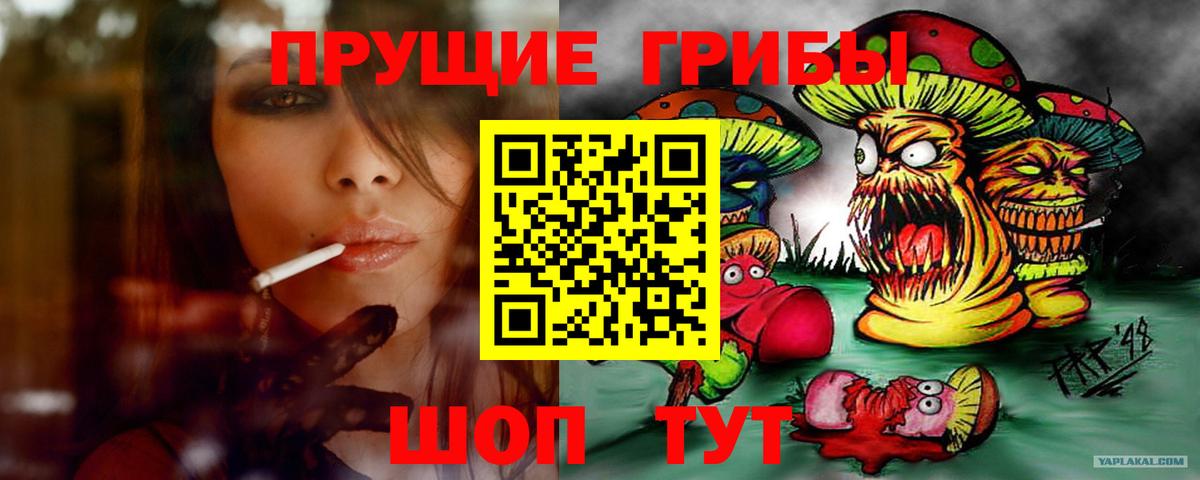 Кисловодск  Галлюциногенные грибы мухоморы  Вход с VPN 