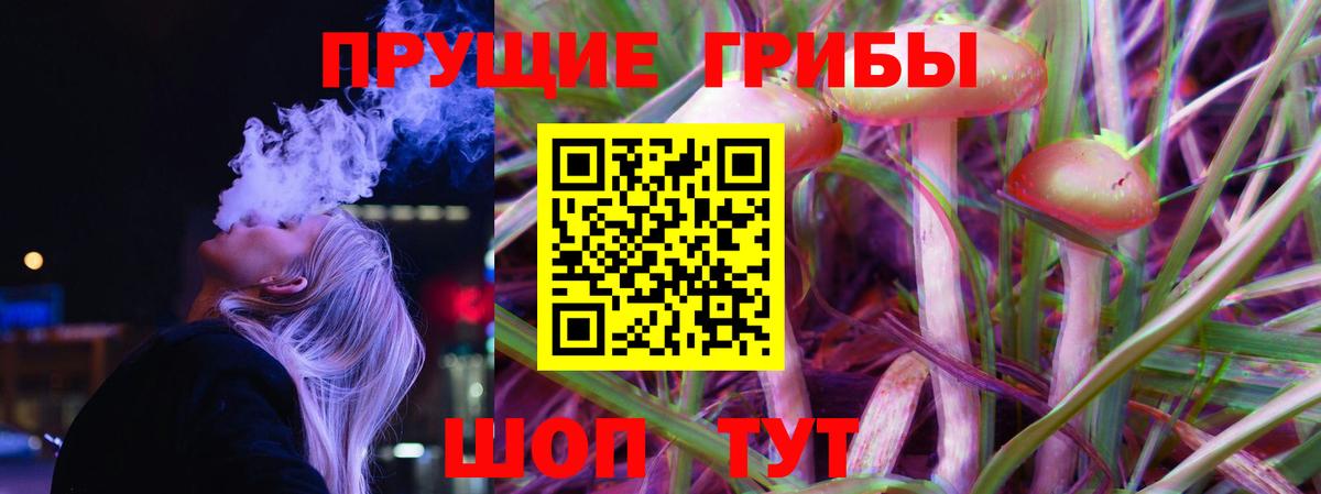 Галлюциногенные грибы GOLDEN TEACHER Кисловодск