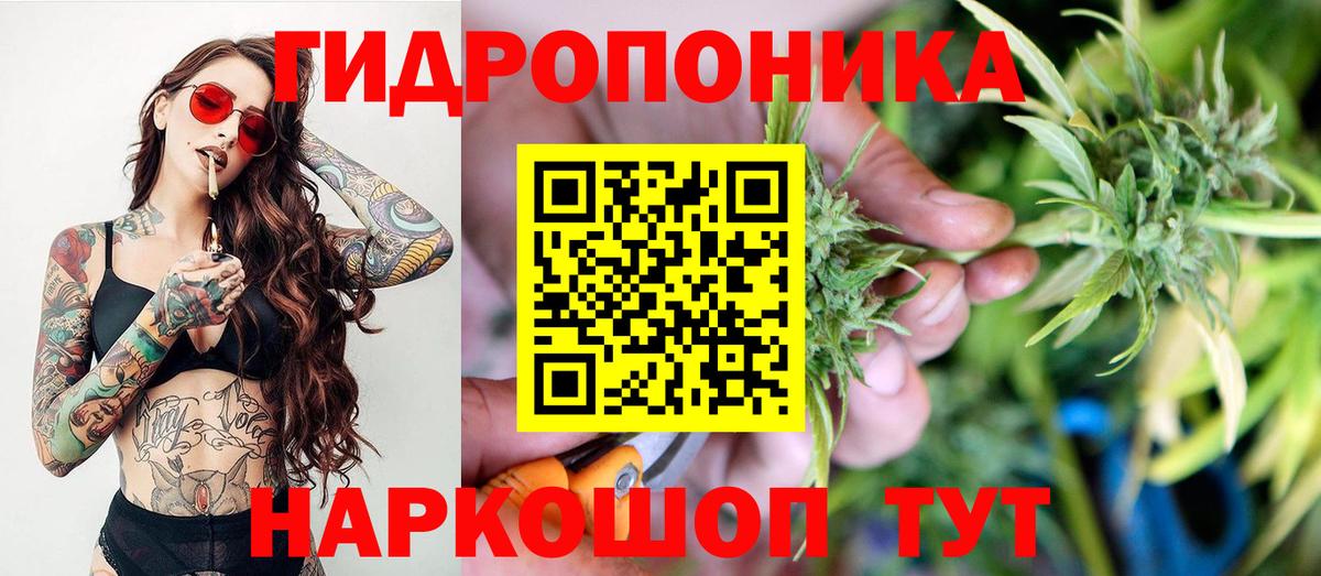 Каннабис индика Кисловодск